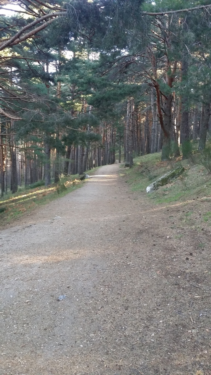 Der erste Wanderweg